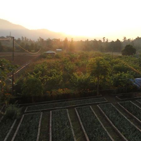 Forest Side Farm - Homestay At Kotabagh Near Nainital And Jim Corbett Exterior photo